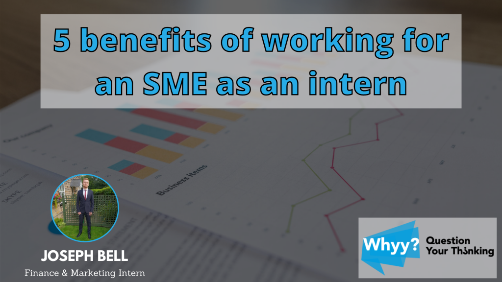5 Intern SME benefits graph